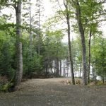 C.D Blue Forestry - Road Construction