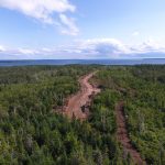 C.D Blue Forestry - Forest Harvesting