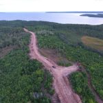 C. D. Blue Forestry - Constructions