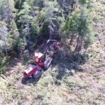C.D Blue Forestry - Forest Equipment