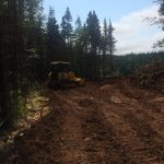 C. D. Blue Forestry - Constructions