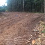 C.D Blue Forestry - Driveways
