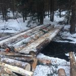 C.D Blue Forestry - Forest Equipment