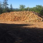 C.D Blue Forestry - Forest Harvesting