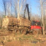 C.D Blue Forestry - Forestry Forwarder