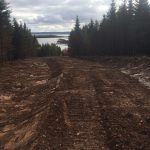 C. D. Blue Forestry - Construction