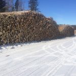 C.D Blue Forestry - Forest Harvesting