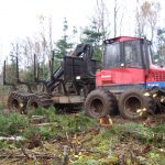 C.D. Blue Forest - Forest Harvesting