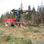 C.D. Blue Forest - Forest Harvesting