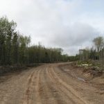 C.D Blue Forestry - Road Construction