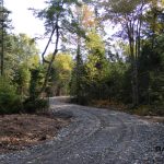 C.D Blue Forestry - Driveways