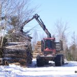 C.D Blue Forestry - Forest Equipment