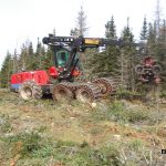 C.D Blue Forestry - Forest Equipment