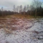 C.D. Blue Forestry - Lot Clearing and Mulching