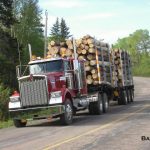 C.D Blue Forestry - Forest Equipment