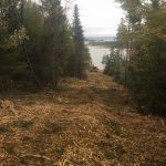 CD Blue Forestry Ltd. - Chipping