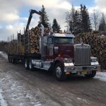 C.D. Blue Forestry - Forestry